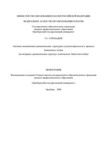 Обучение омонимичным грамматическим структурам студентов-филологов в процессе иноязычного чтения - Галина Стренадюк