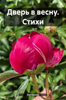 Дверь в весну. Стихи - Зоя Бакина