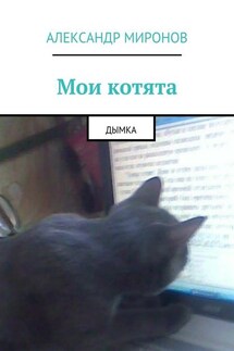 Мои котята. Дымка - Александр Миронов