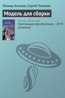 Модель для сборки - Сергей Владимирович Чекмаев, Леонид Александрович Каганов