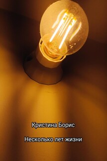 Несколько лет жизни - Кристина Борис