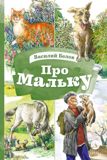 Про Мальку - Василий Белов