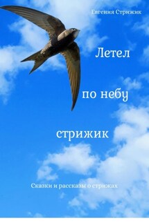 Летел по небу стрижик - Евгения Стрижик