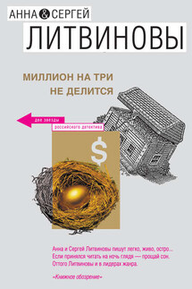 Миллион на три не делится (сборник) - Анна и Сергей Литвиновы