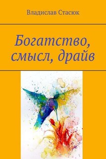 Богатство, смысл, драйв - Владислав Стасюк