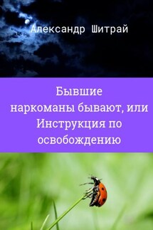 Бывшие наркоманы бывают, или Инструкция по освобождению - Александр Шитрай