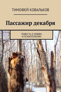 Пассажир декабря. Повесть о любви и психотерапии - Тимофей Ковальков