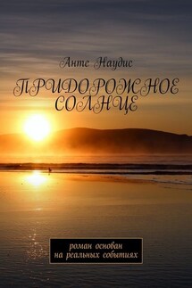 Придорожное солнце. Роман основан на реальных событиях - Анте Наудис
