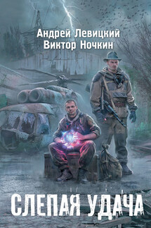 Слепая удача - Виктор Ночкин, Андрей Левицкий