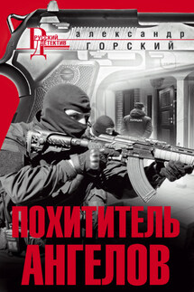 Похититель ангелов - Александр Горский