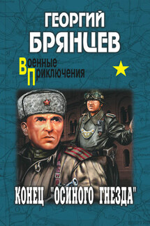 Конец «осиного гнезда» - Георгий Брянцев