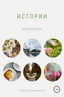 Истории - Надежда Недашковская