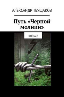 Путь «Черной молнии». Книга 2 - Александр Теущаков