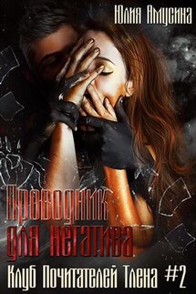 Проводник для негатива - Юлия Амусина