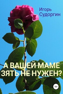 А вашей маме зять не нужен? - Игорь Судоргин