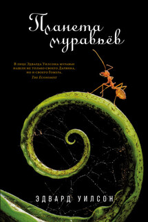 Планета муравьёв - Эдвард Уилсон