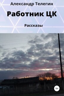 Работник ЦК. Рассказы - Александр Телегин