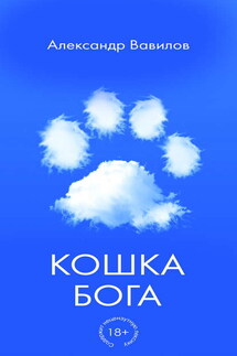 Кошка Бога - Александр Вавилов