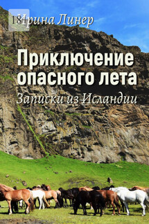 Приключение опасного лета. Записки из Исландии - Ирина Линер
