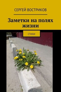 Заметки на полях жизни. Стихи - Сергей Востриков