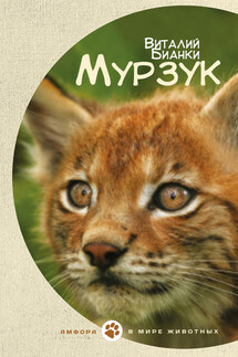 Мурзук (сборник) - Виталий Бианки