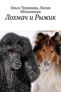 Лохмач и Рыжик - Ольга Трушкина, Лилия Мельникова