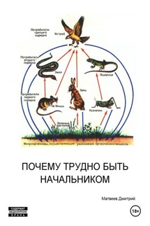 Почему трудно быть начальником - Дмитрий Матвеев
