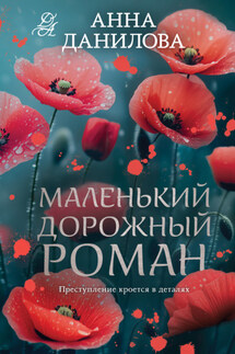 Маленький дорожный роман - Анна Данилова