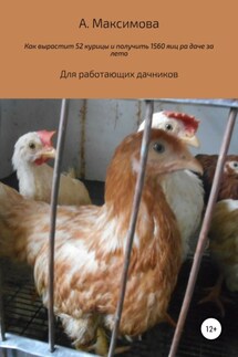 Как вырастить 52 курицы и получить 1560 яиц на даче за лето. Для работающих дачников - Александра Максимова