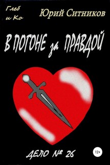 В погоне за правдой - Юрий Ситников