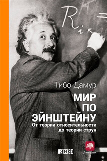Мир по Эйнштейну. От теории относительности до теории струн - Тибо Дамур