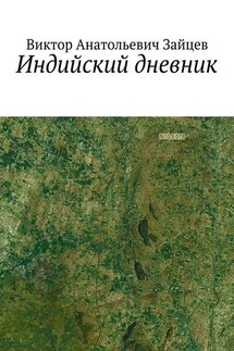 Индийский дневник - Виктор Зайцев