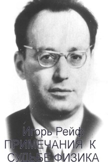Примечания к судьбе физика - Игорь Рейф