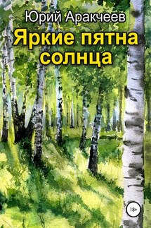 Яркие пятна солнца - Юрий Аракчеев