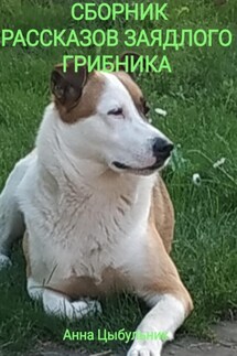 Сборник рассказов заядлого грибника - Анна Цыбульник