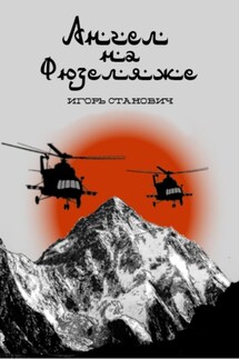 Ангел на фюзеляже - Игорь Станович