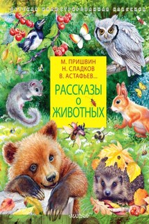 Рассказы о животных - Леонид Николаевич Андреев, Эдуард Юрьевич Шим