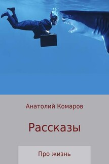 Рассказы про жизнь - Анатолий Комаров