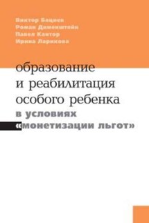 Образование и реабилитация особого ребёнка в условиях «монетизации льгот» - Ирина Ларикова, Павел Кантор