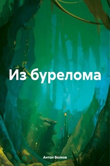 Из бурелома - Антон Волков