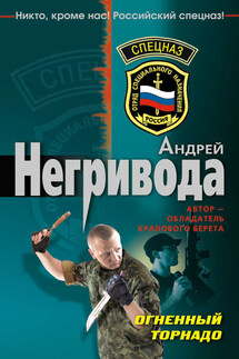 Огненный торнадо - Андрей Негривода