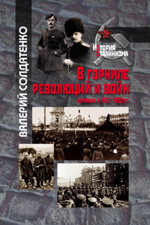 В горниле революций и войн: Украина в 1917-1920 гг. историко-историографические эссе - Валерий Солдатенко