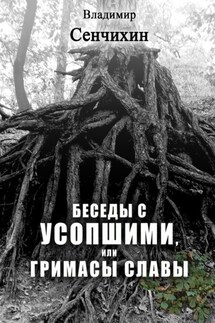 Беседы с усопшими, или Гримасы славы - Владимир Сенчихин