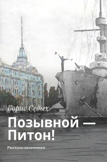 Позывной – Питон! Рассказы нахимовцев - Борис Седых