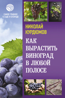Как вырастить виноград в любой полосе - Николай Курдюмов