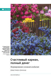 Счастливый карман, полный денег. Формирование сознания изобилия. Дэвид Кэмерон Джиканди. Саммари - Smart Reading