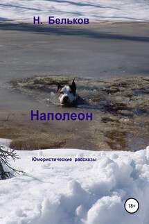 Наполеон. Сборник рассказов - Николай Бельков
