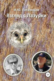Взгляд с Лазурки - Игорь Литвинцев