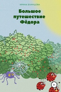 Большое путешествие Фёдора - Ирина Блинцова