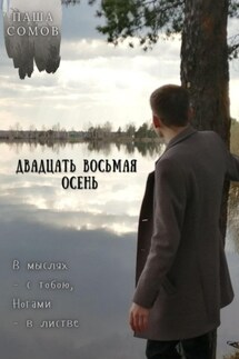 Двадцать восьмая осень - Паша Сомов